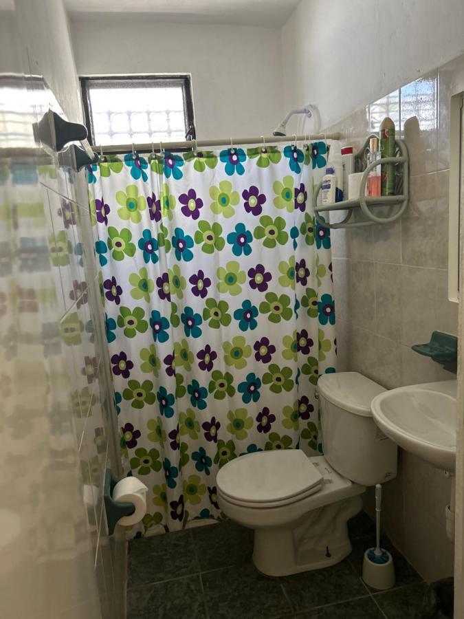 Casa De Hojas Lägenhet Playa del Carmen Exteriör bild